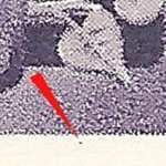 TD 1 ZP 193 b 