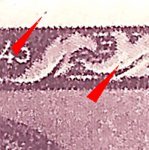 TD 1 ZP 26 f 