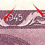 TD 1 ZP 59 f 