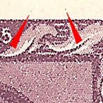 TD 3 ZP 62 c 