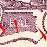 TD 3 ZP 67 d 
