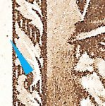 TD 1 ZP 32 b 