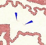 TD A ZP 25 c 