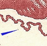 TD B ZP 104 c 