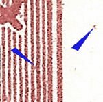 TD B ZP 24 c 