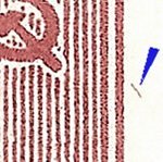 TD B ZP 41 a 