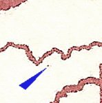 TD B ZP 41 c 