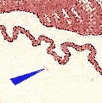 TD B ZP 42 d 