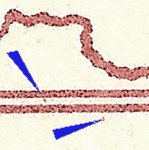 TD B ZP 42 e 