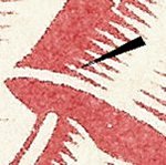 TD C ZP 6 f 