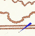 TD B ZP 1 c 