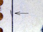 TD neurčená ZP 0 06 