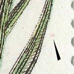 TD 2 ZP 5 a 