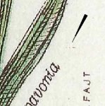 TD 2 ZP 22 a 