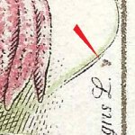 TD 1 ZP 26 a 