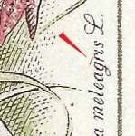 TD 2 ZP 78 b 
