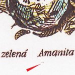 TD B ZP 1