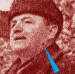 TD neurčená ZP 81 a 