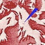 TD 1 ZP 124 a 