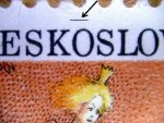 TD nezjištěna ZP 0 1 