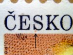 TD nezjištěna ZP 0 5 
