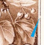 TD B ZP 18 c B.1