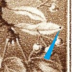 TD B ZP 19 c B.3