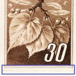 TD B ZP 31 d B.4