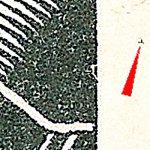 TD D ZP 34 b 