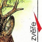 TD 2 ZP 40 b 