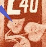 TD 1 ZP 4 a 