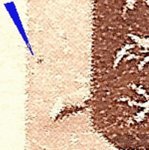 TD 1 ZP 51 a 