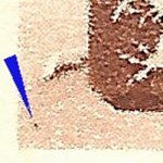 TD 1 ZP 53 a 