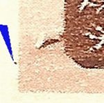 TD 1 ZP 72 b 